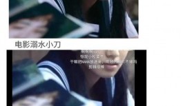 娱乐圈吃瓜文合集,揭秘明星幕后故事与八卦风云