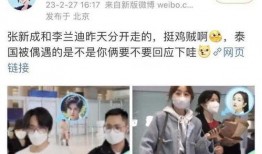 狗仔爆料李兰迪视频播放,李兰迪私密视频引发热议